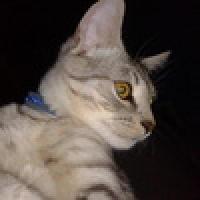 Александр Овчинников