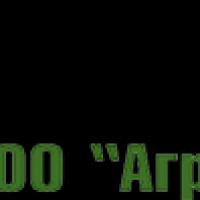 Дмитрий Бондарь