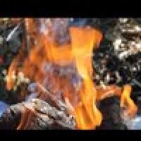 Амбидекстер 696