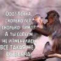 Елена Широбокова