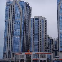 Шарова Ирина 