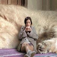 Анжела Рыбкина