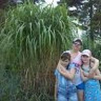 Зиновьева Наталия