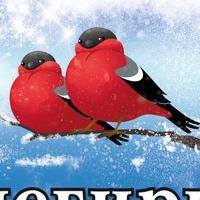 Инна Борисовна