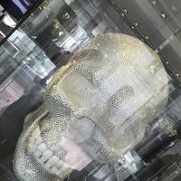 Юлия Юльчик