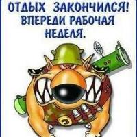 Владимир Мазин