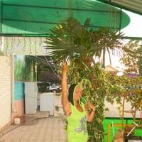 Жанна Сафронова