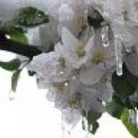 Наталия осень