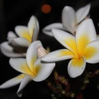 Катерина Ерусланова