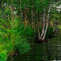 Ангелина Фролова (Малыгина)