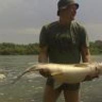 олег востров