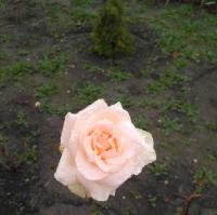 Ольга Шилова