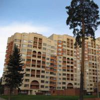 ЖК «Яузская аллея», фото №1