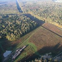 ЖК «Лесной» (Оболдино), фото №1