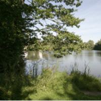 ЖК «Остафьево»