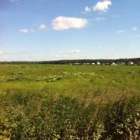 Поселок «Купавна Life», фото №1